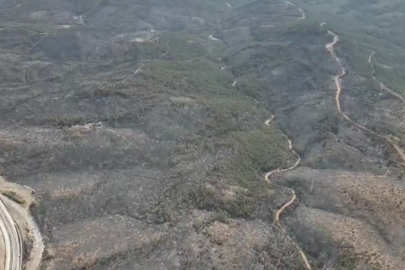 Felaketten geriye yürek burkan görüntüler kaldı