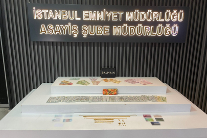 Endonezyalı bakıcıdan inanılmaz plan: Ev sahibi duşa girince harekete geçti!