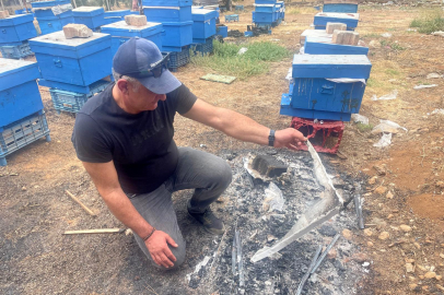 Milyonlarcası ateşe uçtu bir daha geri dönmedi