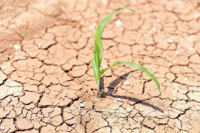 Profesörden korkutan uyarı! 2025 felaket yılı...