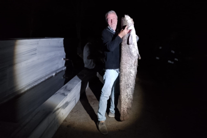 Çiçeközü Barajı'nda dev yayın balığı yakaladı