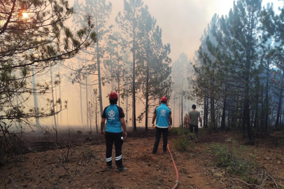 Bursa UMKE zorlu mücadelede olanları anlattı