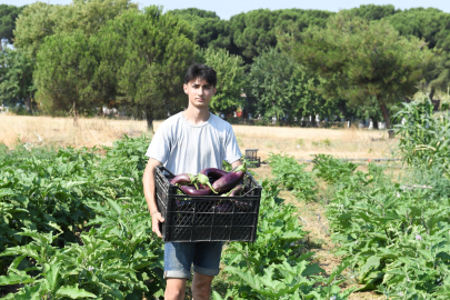Gazi Tarım'la 10 dönüm zehirsiz tarım başarıyla sonuçlandı