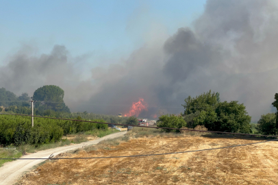Lapseki'deki orman yangınını söndürme çalışmaları sürüyor