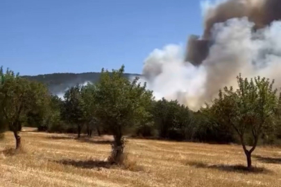 Bolu’da orman yangını başladı