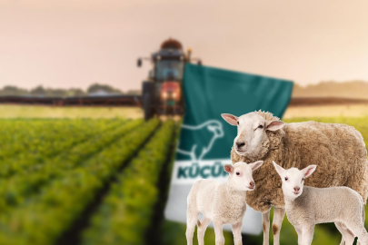 Bursa Büyükşehirin aşı ve yem desteği başvuruları başladı