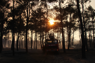 Çanakkale'de devam eden yangında 3 köy boşaltıldı