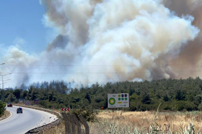 Çanakkale'de yine orman yangını! Dumanlar gökyüzünü kapladı, alevler her yerden görünüyor