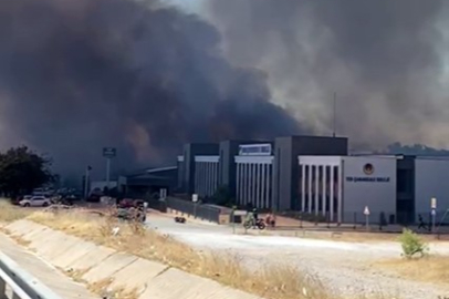 Çanakkale Valisi Toraman: "Orman yangını rüzgarın da etkisiyle hızlı ilerliyor"