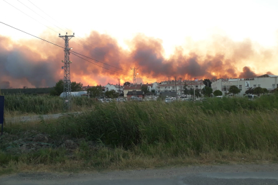 Edirne'de tarlada çıkan yangın ormanlık alana doğru ilerliyor