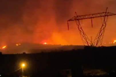 Manisa'daki orman yangınına müdahale sürüyor