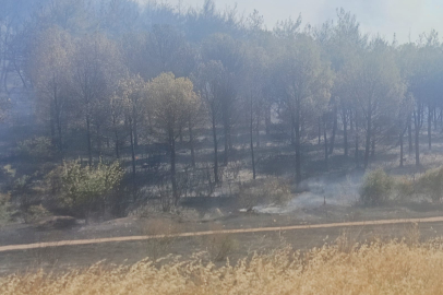 Soma yangınında bir mahalle boşaltıldı, bir kişi de gözaltına alındı