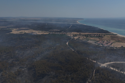 Edirne'de yanan ormanın görüntüsü yürekleri dağladı