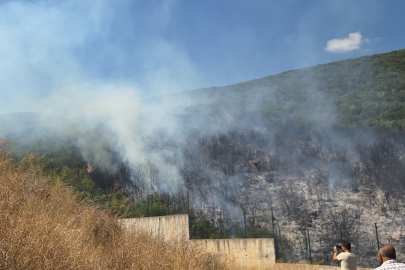 Orhangazi'de orman yangını korkuttu