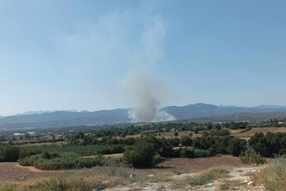 Osmaniye’nin Sumbas ilçesinde orman yangını başladı