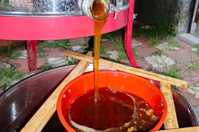 Ucuz bal dönemi bitti: Denetimler gerçek balın değerini artırdı