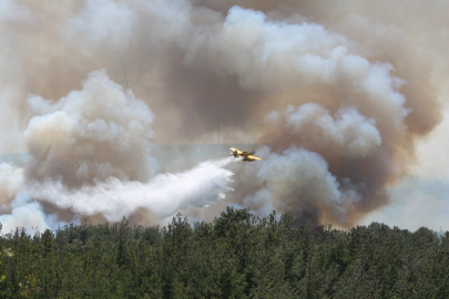 Çanakkale'de alevler yeniden yükseldi, havadan karadan müdahale sürüyor