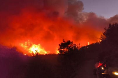 Hatay'da orman yangını
