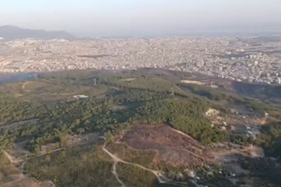 İzmir’de gece boyunca süren yangına sabah hava müdahalesi yeniden başladı