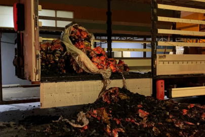 Mangal kömürü yüklü tır alev alev yandı
