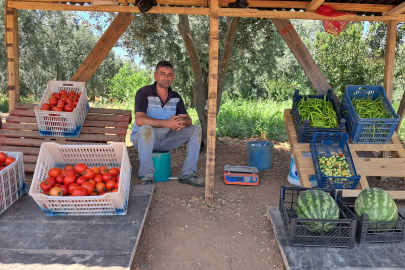 Tarladan topladığı ürünlerin parasını havale etti