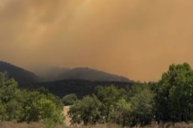 İznik'te orman yangını