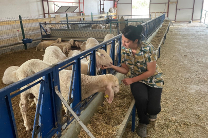 Veteriner genç kadın, kendi işletmesini kurdu
