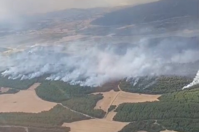 Çanakkale’de devam eden orman yangını nedeniyle tahliye edilen köy sayısı 7’ye çıktı