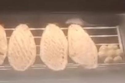 Fare ekmeklerin üstünde gezerken görüldü