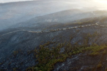 Çanakkale'deki orman yangınında zarar gören alanlar görüntülendi