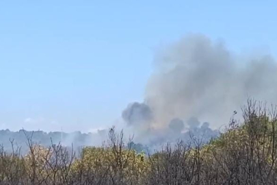 Bursa Nilüfer’deki orman yangını kontrol altına alındı