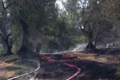 Mudanya'da korkutan yangın