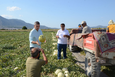 Türkiye, kavuna doyacak