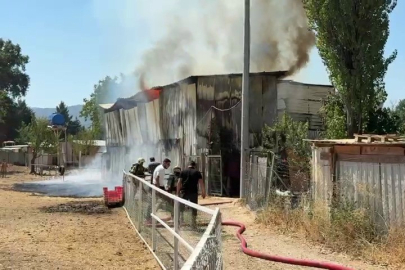 Bursa’da hayvan damı yandı: 1 at, 2 keçi telef oldu