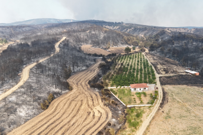 Çanakkale'de yaşanan 4 büyük yangında 5 bin 236 hektar orman alan yandı