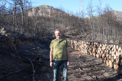 Gürsu’da milli ağaçlandırma gününde kampanya düzenlenecek