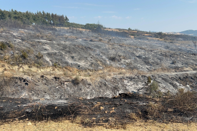 Gelibolu'da çıkan orman yangını tamamen kontrol altına alındı