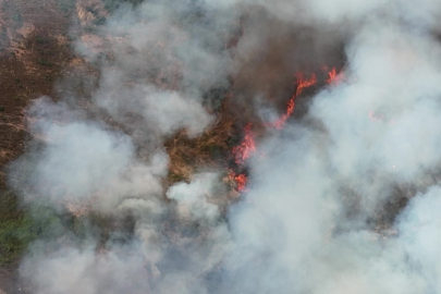 Kocaeli’de orman yangınına havadan ve karadan müdahale: Alevler evlere de sıçradı