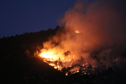 Denizli’de orman yangınına gece karadan müdahale sürüyor