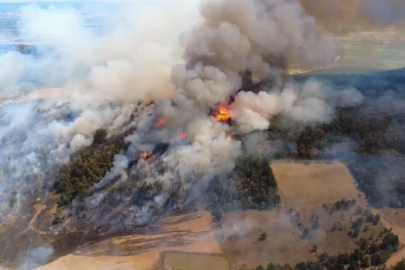 Bursa'daki orman yangını kontrol altına alındı