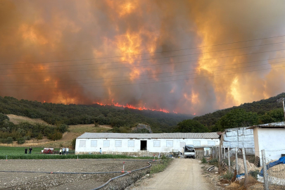 Bursa Yenişehir’de orman yangını: Büyük ölçüde kontrol altında