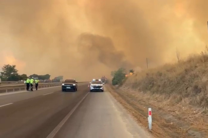 Orman yangınındaki alevler, hayvan çiftliklerine doğru ilerliyor