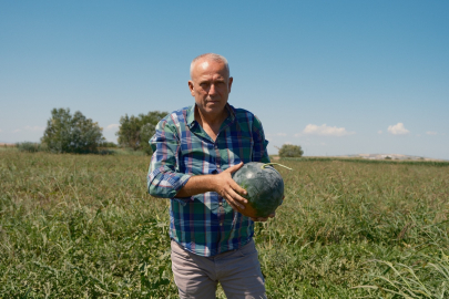 Bursa'da 3 bin 500 ton karpuz tarlada kaldı