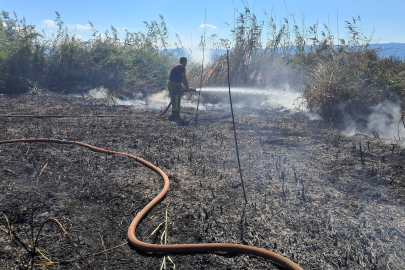 İznik sazlık alanda yangın : 100 dönüm alan küle döndü