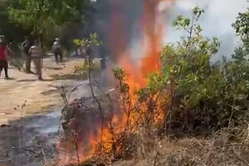Çalılık alanda çıkan yangın panik yarattı