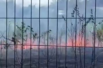 Hamidiye Tarım Lisesi Bahçesinde korku dolu anlar