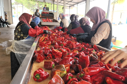 İnegöl’de kadınlar üretiyor, dünya tüketiyor