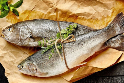 Uzmanından "Haftada en az 2 kez balık yiyin" tavsiyesi