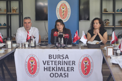 BVHO’dan ‘Dünya Kuduz Günü’nde önemli mesaj: "Hayvanı korumadan insanı koruyamayız"