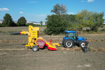 İnegöl’ün Cerrah Kuru Fasulyesinde hasat zamanı